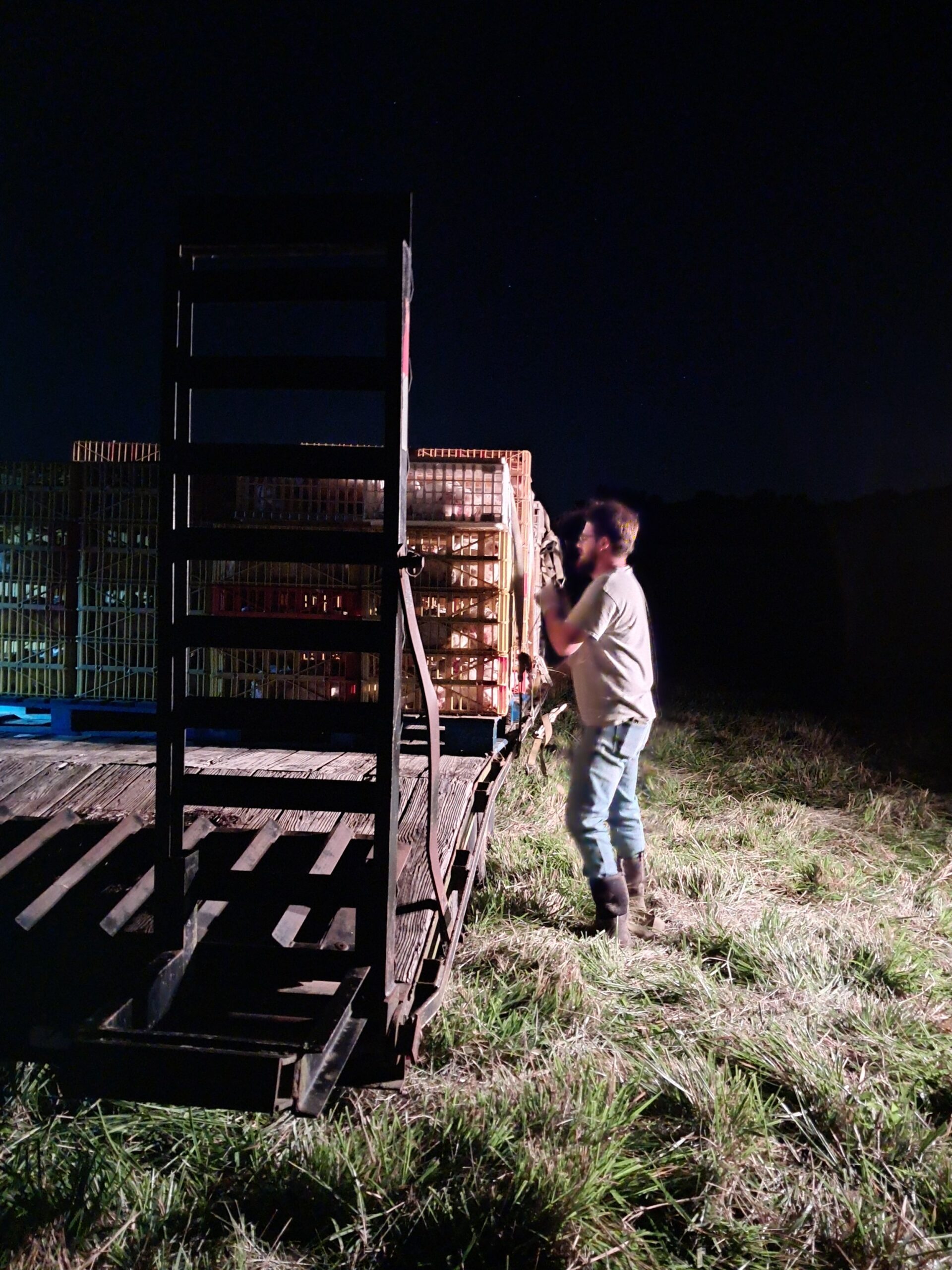 Person unloading crates from a truck at night in a grassy field, with a ladder visible for access to the cargo.